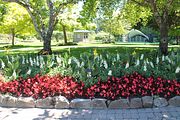 61 - Butchard Gardens  - IMG_1656